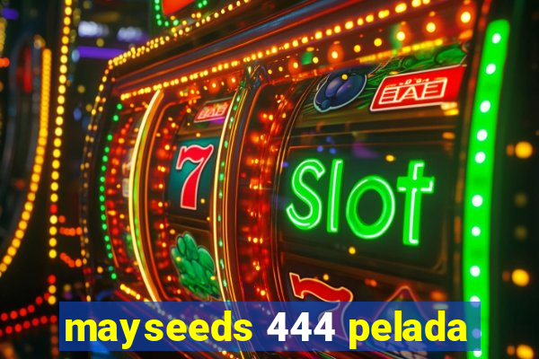 mayseeds 444 pelada
